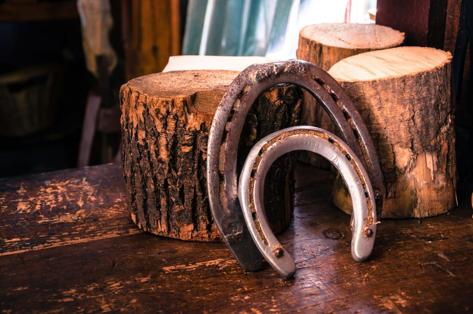 Why and How to Keep Your Horse’s Shoes Clean: A Complete Guide